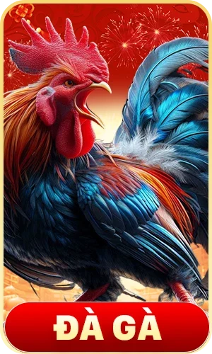 Đá gà TR88