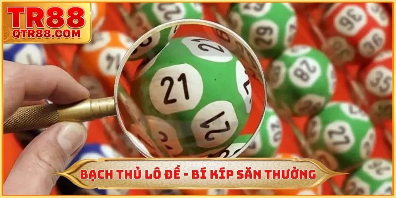 Bạch Thủ Lô Đề - TR88 Chia Sẻ Bí Kíp Săn Thưởng Lên Đến 95%