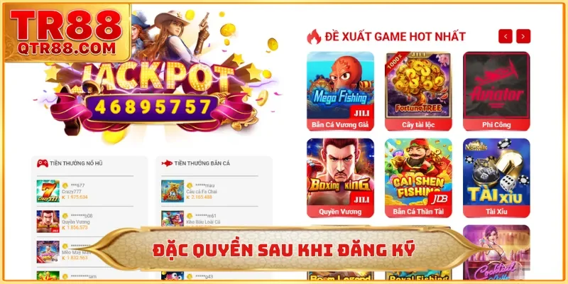 Đặc quyền sau khi đăng ký