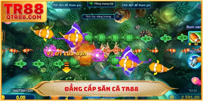Đẳng cấp săn cá TR88