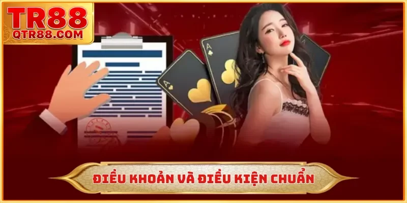 Điều khoản và điều kiện chuẩn