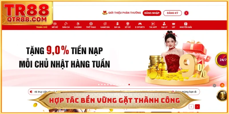 Hợp tác bền vững gặt thành công