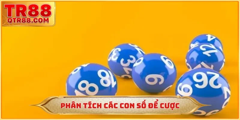 Phân tích các con số để cược