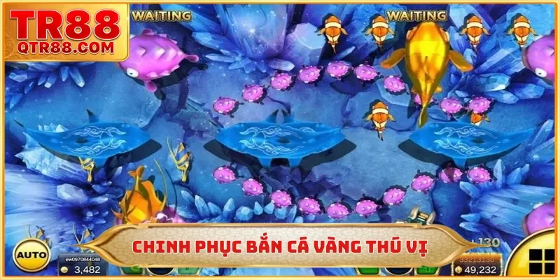 Chinh phục bắn cá vàng thú vị